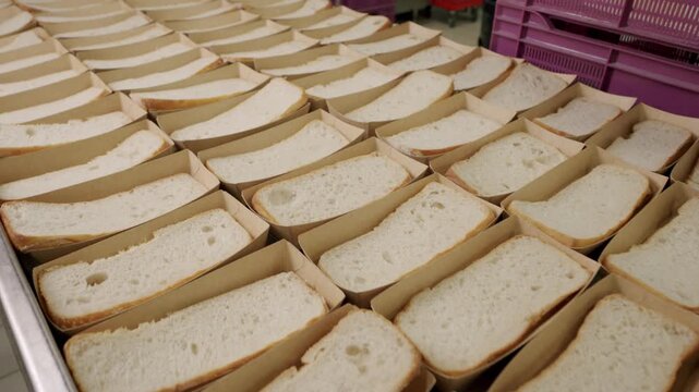 Sliced bread loaves arranged in cardboard trays on a production table, showcasing the organized layout in a commercial bakery setting