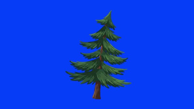 A detailed 2D cartoon pine tree with green needle foliage stands against a solid blue screen background. This evergreen tree animation asset is ideal for forest environments, winter landscapes, nature