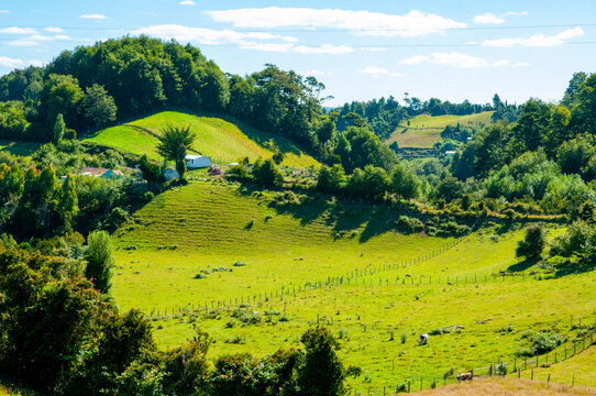 Lemuy Island in Chiloe - Chile