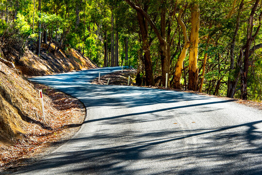 Cradle Mountain Road (C132) - Tasmania