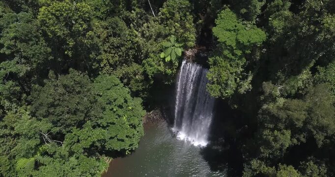 Millaa Millaa Fall Atherton tableland Cairns Australia