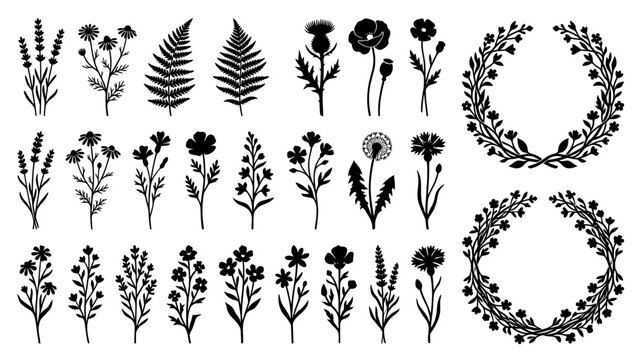 Botanical Silhouettes Collection: Flowers, Leaves, and Wreaths