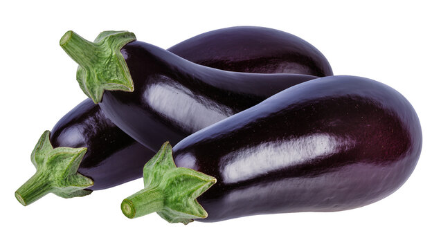 Isolated three fresh organic ripe eggplants with vibrant dark purple skin and green stems