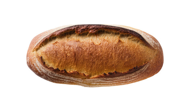 Isolated freshly baked rustic sourdough bread loaf with golden brown crust and scoring