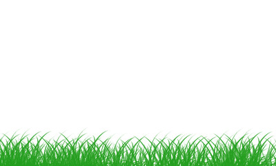 Obraz premium Green grass blades illustration on transparent background