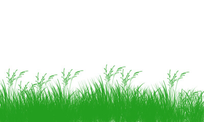 Fototapeta premium Green grass blades and stalks on transparent background