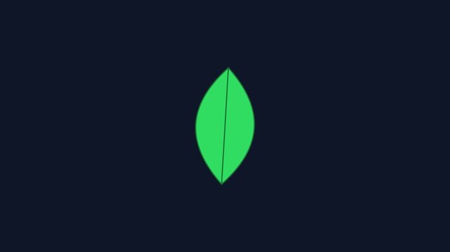 Minimalist green leaf rotating animation on dark 4k background, for eco-friendly branding, and sustainable business concepts