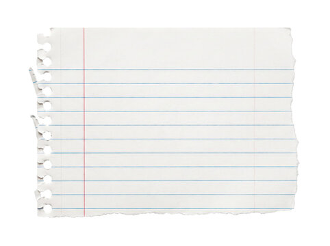 Blank lined notebook paper sheet on white background. Empty ruled page template for writing, notes, or school assignments.