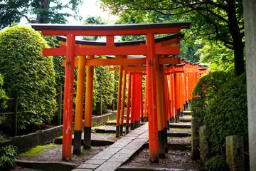 Fototapete Torii Tore Row of vibrant red torii gates lining a stone path in a Japanese shrine garden  © Bossa Art