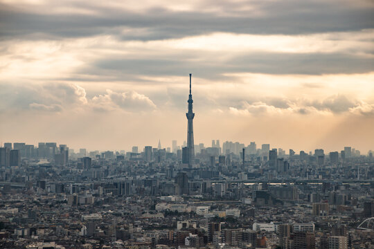 Tokyo Skytree Tower Rising Over the Vast Urban Cityscape Under Dramatic Clouds