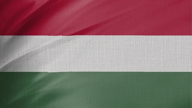 Hungary Flag Animation With Fabric Texture