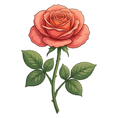 Obraz premium Red Rose with Green Stem Isolated, Illustrated Peach Rose Isolated AI