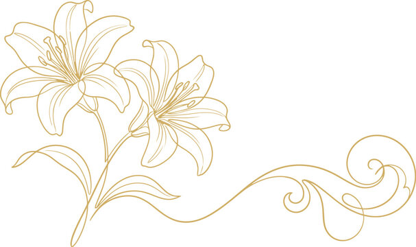 Elegant gold lily floral sketch delicate botanical line art design