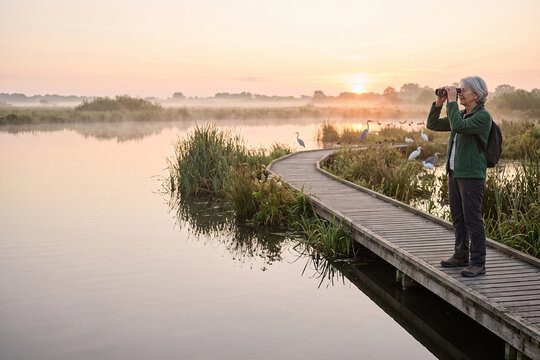 Senior Nature Photographer Capturing Sunrise at Peaceful Wetland