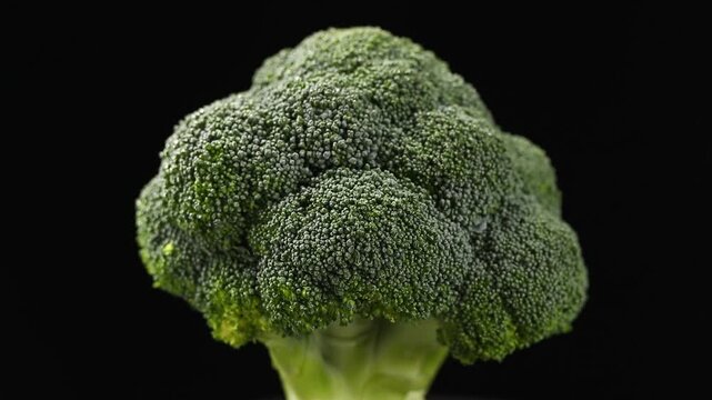 Close-up of a raw broccoli florets head slowly rotating on a black background.