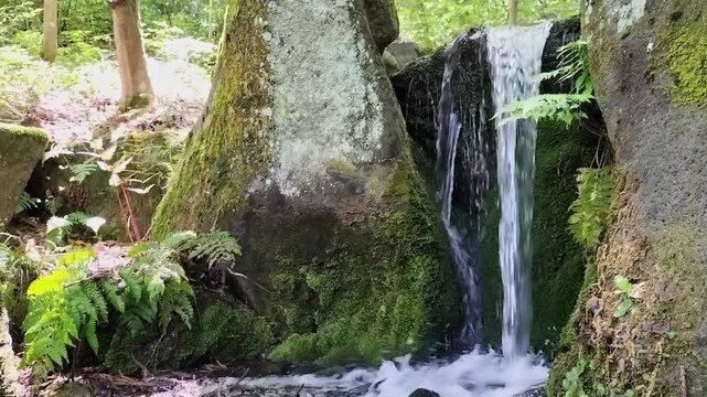 癒される自然の生音 苔むした森の岩間を流れる滝と清流のせせらぎ