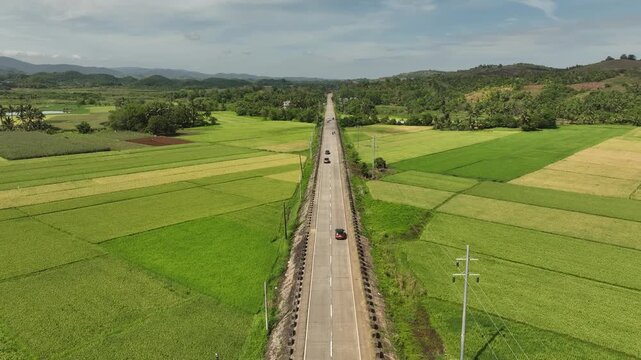Aerial Forward Flight Over a Straight Highway Surrounded by Expansive Green Rice Fields