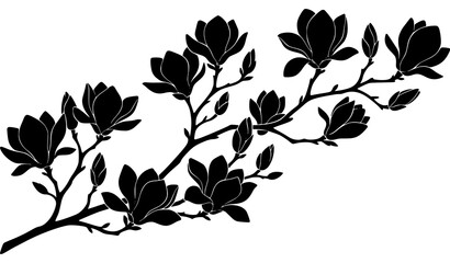 Black silhouette magnolia branches with blooming flowers and flower buds isolated on white © Khadijatunanha
