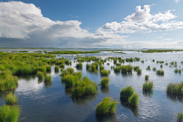 Fototapeta premium The scenery of the Reerdam Grassland Huahu Wetland in Ruoergai County, Aba Tibetan and Qiang Autonomous Prefecture, Sichuan Province, China