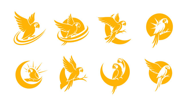 Yellow parrot logo icon set, flat vector illustration of macaw birds