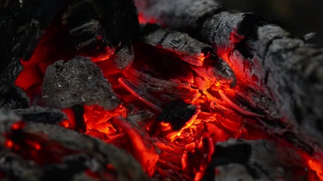 Glowing red charcoal embers and hot campfire fire in dark forest seamless loop video with authentic crackling audio sound and ambient birds singing background for sleep, lofi stream and ASMR.