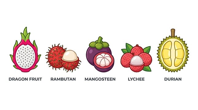 Colorful exotic fruits illustration set isolated.