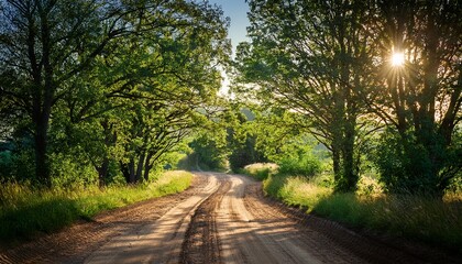 Fototapeta premium Dirt Road Up Between Green Trees In Summer
