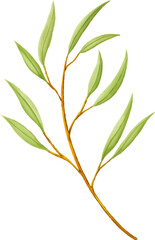 Fototapeta premium Green Leaves on Branch Illustration