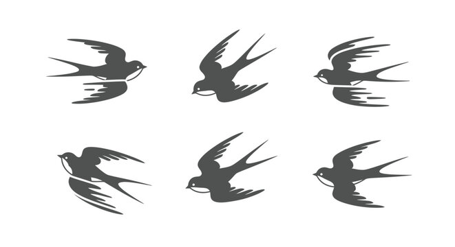 Dynamic Swallows in Flight Vector Illustrations Set, Capturing Graceful Bird Movement and Symbolizing Freedom, Ideal for Diverse Design Elements