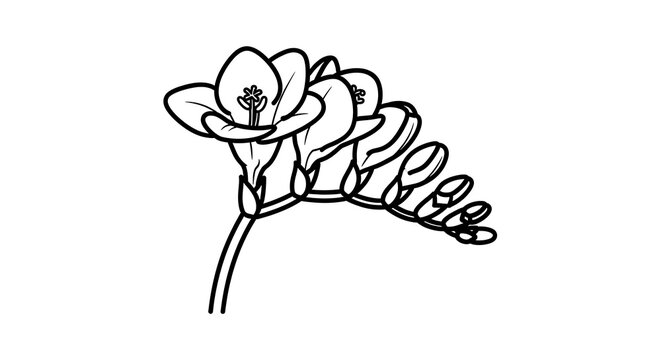 Black and white line art of a blooming flower.