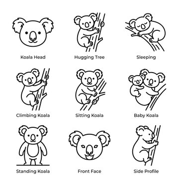 Set of cute koala bear icons in various poses and actions