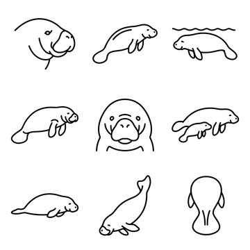 Set of simple line art manatee animal icons