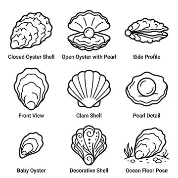 Oyster and pearl shell icons set