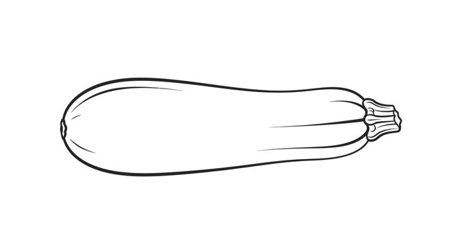 Minimalist black and white line drawing of a zucchini with detailed stem with set against plain white background background emphasizing minimalism
