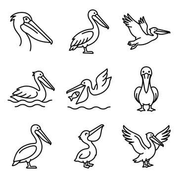 Set of pelican bird icons in simple line art style