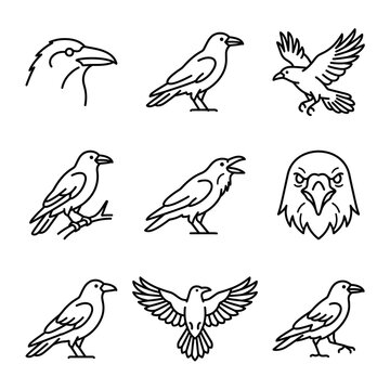Set of black crow and raven bird line art icons