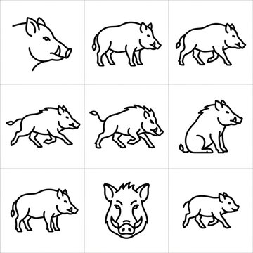 Set of wild boar icons in simple black line art style
