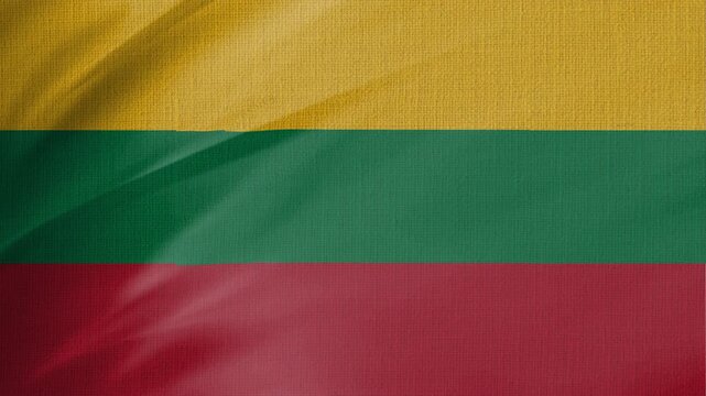 Lithuania Flag Animation With Fabric Texture