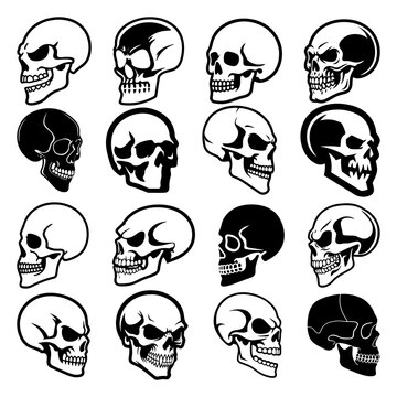 Black and white skull icon