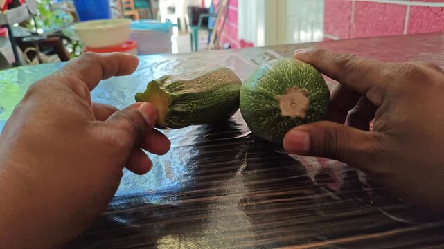 Hands Holding and Arranging Small Squash Pumpkins on Table