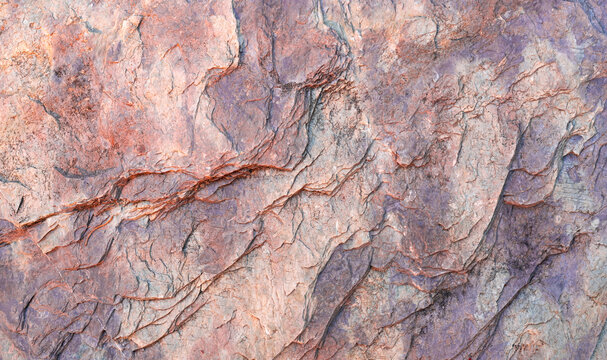 Close up of colorful petrified wood texture with fossilized mineral layers in purple, pink and brown tones. Ancient geological formations, prehistoric organic patterns and natural stone background.
