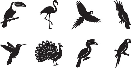 Exotic tropical birds toucan flamingo parrot and hummingbird silhouettes © HM