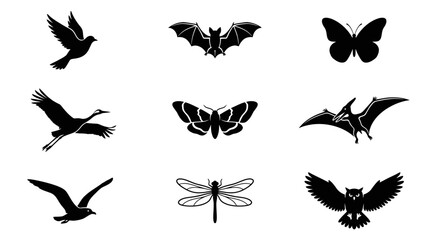 Fototapeta premium Black silhouettes of various flying creatures.