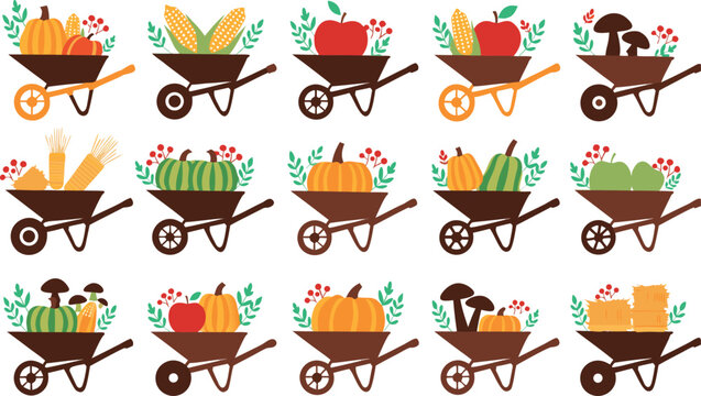 Wheelbarrows filled with autumn harvest vegetables and fruits
