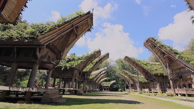 Traditional Toraja village complex with Tongkonan and Alang facing each other, Tana Toraja, Indonesia