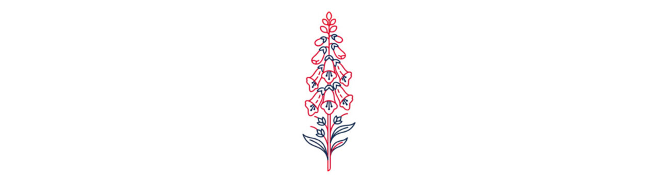 Delicate Line Art of a Tall Flower with Bell-Shaped Blooms
