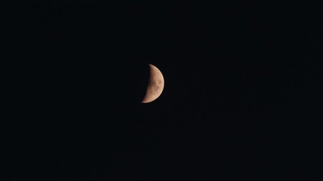 Tokyo,Japan - June 20, 2026: Half moon observed soon after the sunset