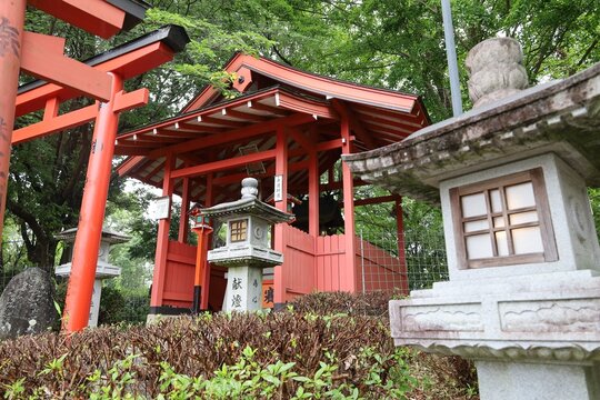 A Japanese temple : a scene of the precincts of Abemonju-in Temple in Sakurai City in Nara Prefecture