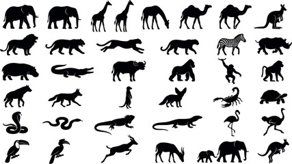 Big set of wild safari animals silhouettes vector including elephant, giraffe, lion, cheetah, kangaroo, monkey, and birds isolated on white background. © MstYasmin