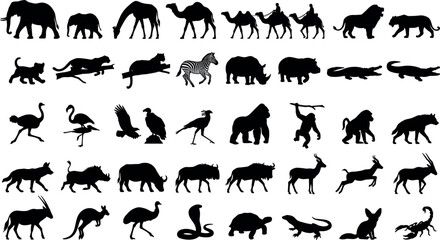Large collection of wild African animal silhouettes including elephant, lion, giraffe, rhino, camel, gorilla, and kangaroo isolated on white background. © MstYasmin